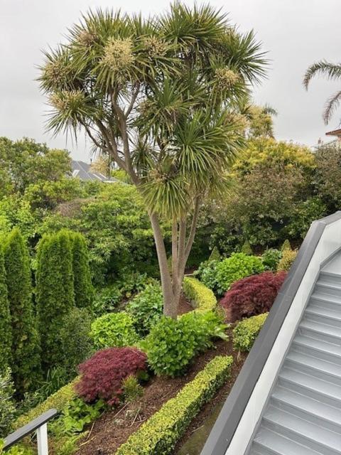 Luxury Villa On Napier Hill מראה חיצוני תמונה